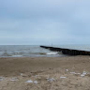 Meet your Posher, Avery